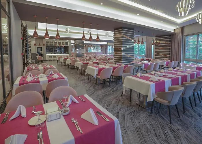 리조트 Sueno 시데